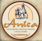 anica logo
