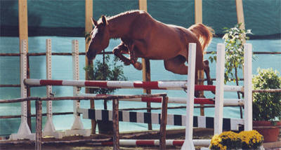 OMBRETTINA SALTO IN LIBERTA1