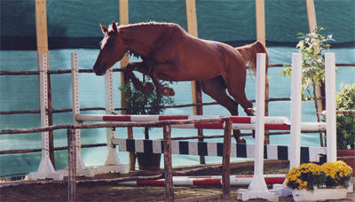 OMBRETTINA SALTO IN LIBERTA
