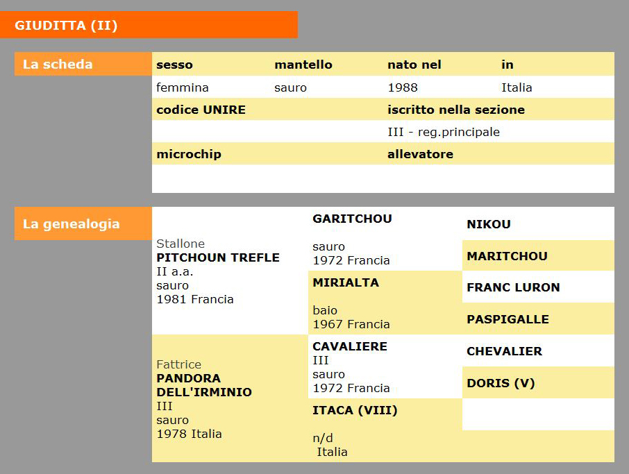 GIUDITTA PEDIGREE