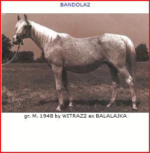 bandola