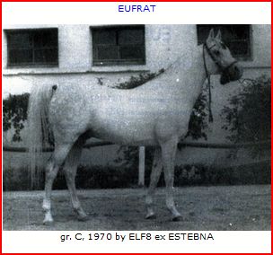 eufrat