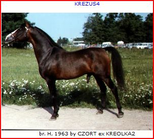 krezus