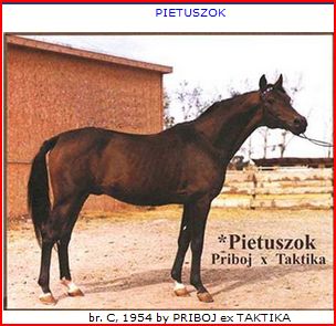 pietusuzok